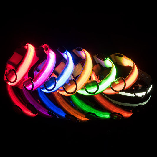 USB Charging LED Led Dog Collar Anti-Lost/Avoid Car Accident Collar