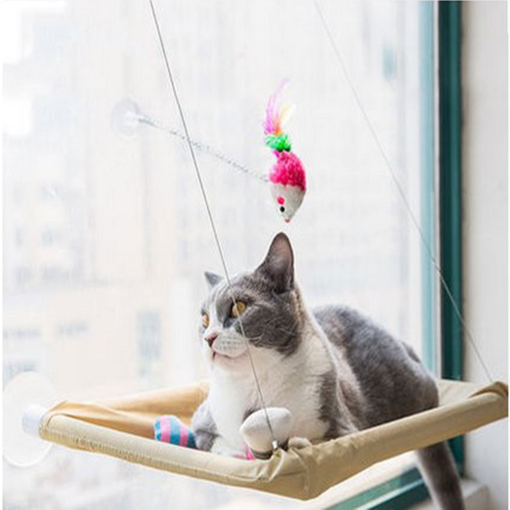 Cat Hanging Bed