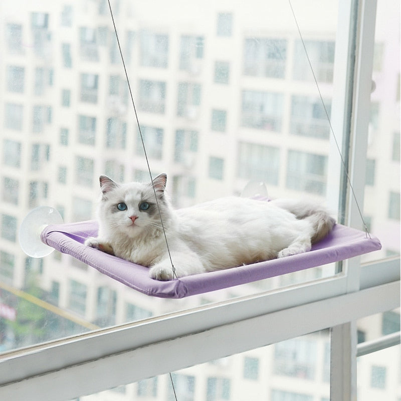 Cat Hanging Bed