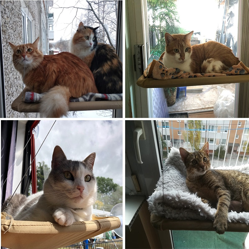 Cat Hanging Bed