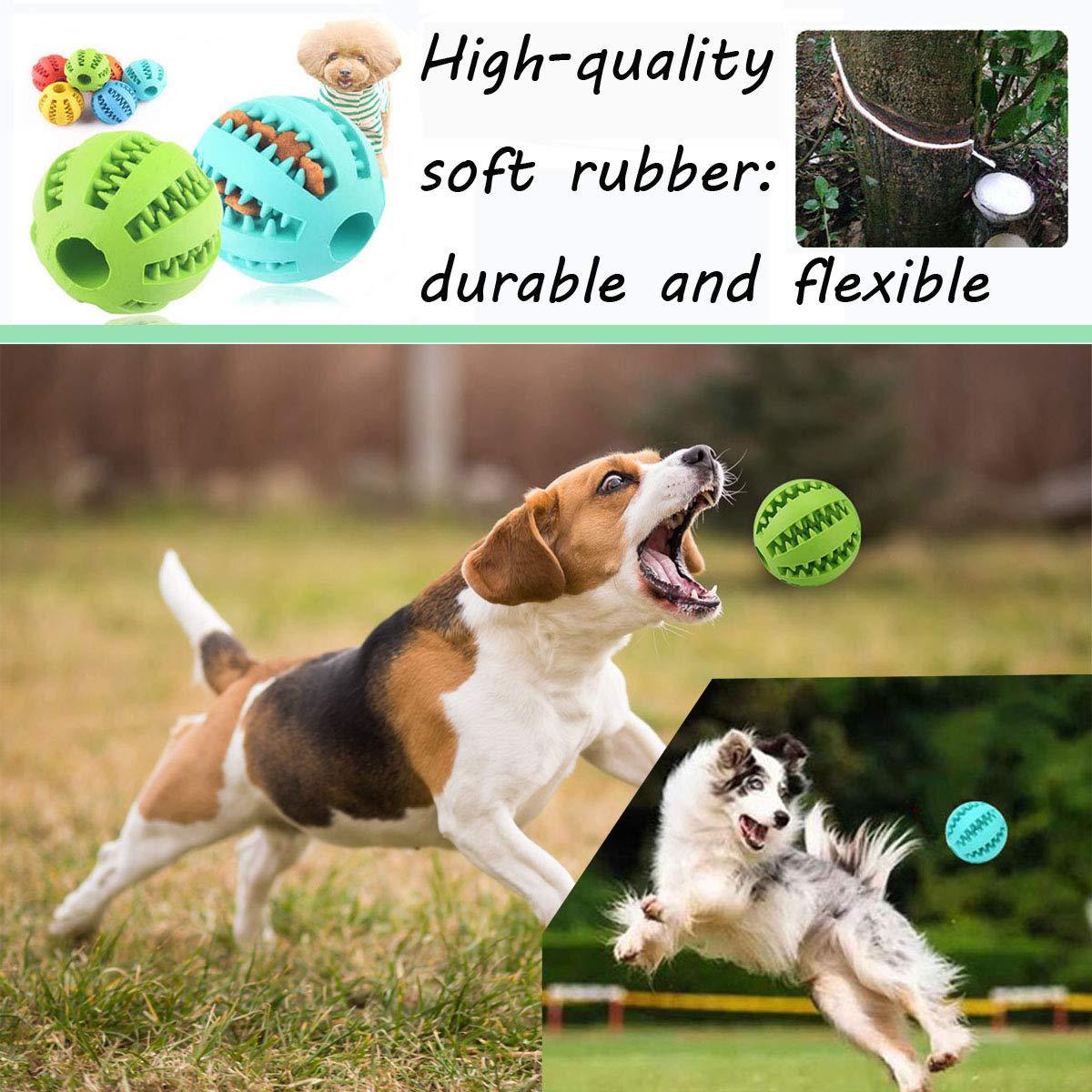 Dog Teeth Cleaning Toy